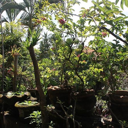 Raditia Homestay Ubud  Exterior photo